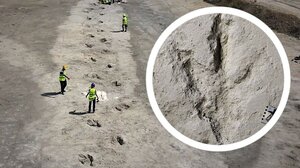 Ανακαλύφθηκε στη Μεγάλη Βρετανία η μεγαλύτερη "λεωφόρος" δεινοσαύρων