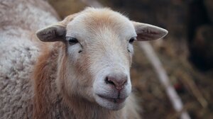 Το ΥΠΑΑΤ προχωρεί σε δραστικά διοικητικά, νομικά και οικονομικά μέτρα 