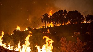 Πυρκαγιές στο Λος Άντζελες: "Δεν έχει μείνει τίποτα όρθιο" – Κραυγή αγωνίας από Έλληνα καθηγητή στις ΗΠΑ