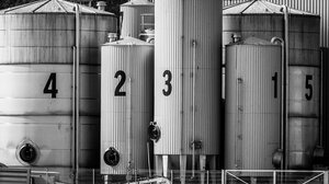 Ρέθυμνο: Προθεσμία κατάθεσης δηλώσεων παραγωγής, εμπορίας και μεταφοράς ζωοτροφών και πληρωμής ετήσιων τελών 