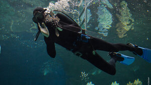 Θεοφάνεια στο Ενυδρείο Κρήτης-CRETAquarium!