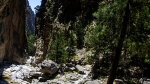 Mεγάλη επιχείρηση για τον εντοπισμό του 21χρονου Γερμανού