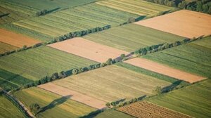 Αναδασμός: Το Α και το Ω των βιώσιμων εκμεταλλεύσεων!