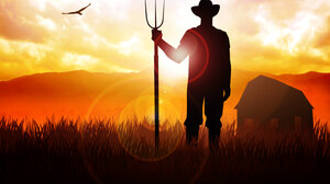 Ξεκίνησαν οι αιτήσεις πληγέντων γεωργών που η παραγωγή έτους 2024 είναι μειωμένη τουλάχιστον κατά 30%