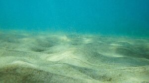 Τι θα ψάξουν έξι επιστήμονες που θα βρίσκονται κάτω από το νερό για έναν συνεχόμενο μήνα