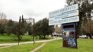 Κατεπείγουσα ΕΔΕ για το άγριο έγκλημα στο Δαφνί