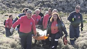 Για ... αγκινάρες ξεκίνησε, στο νοσοκομείο κατέληξε!