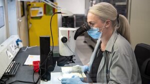 Γενετική θεραπεία βελτιώνει την όραση σε παιδιά με σπάνια ασθένεια