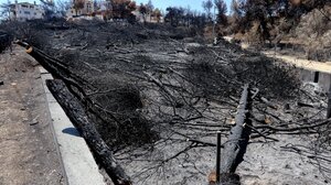 Πυρκαγιά στο Μάτι: «Υπάρχει ομαδικός τάφος με αταυτοποίητες σορούς»