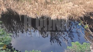 "Μαύρισε" ο Γαζανός ποταμός - Ψάχνουν την αιτία της ρύπανσης