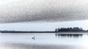 «Εχεις ένα κλάσμα του δευτερολέπτου»: Η ιστορία πίσω από μια viral φωτογραφία