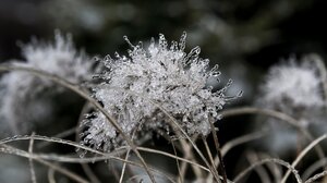 Καιρός: Κάτω από τους 10°C η μέγιστη θερμοκρασία σήμερα στο 85% των μετεωρολογικών σταθμών