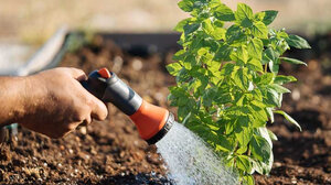 Καινοτομία στην άρδευση των καλλιεργειών σε συνθήκες Κλιματικής Αλλαγής