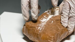 Ενώπιον εισαγγελέα ο κτηνοτρόφος και η σύζυγός του για το ένα κιλό κοκαϊνης