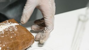 Δίωξη Ναρκωτικών: οι συλλήψεις, η κόκα και τα μετρητά 