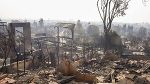 Μετά τις πυρκαγιές στο Λος Άντζελες, καταιγίδα εγείρει φόβους για κατολισθήσεις