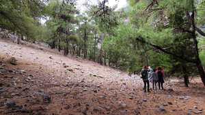 Κυκλική πεζοπορία στα νοτιοδυτικά του Λασιθίου διοργανώνει ο Ορειβατικός Σύλλογος Αγίου Νικολάου