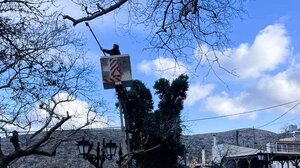 Συνεχίζονται οι δράσεις προστασίας του ιστορικού πλατάνου στο Κράσι