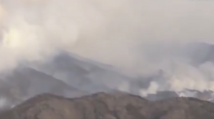 Ισχυρές δασικές πυρκαγιές πλήττουν τη βόρεια Ιαπωνία