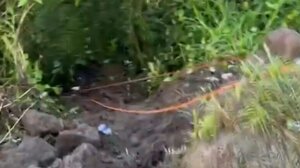 Κολομβία: 9 νεκροί και 20 τραυματίες από πτώση φορτηγού σε χαράδρα