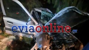 Θανατηφόρο τροχαίο στην Χαλκίδα - Αυτοκίνητο «καρφώθηκε» σε δέντρο
