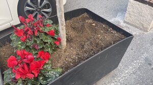 Δε φτάνουν τα σκουπίδια, έχουμε και τις ζημιές στις ζαρντινιέρες!