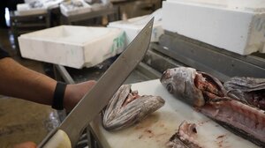 Λινγκ ή μπακαλιάρος: Πώς θα τα ξεχωρίσετε στις αγορές σας για την 25η Μαρτίου