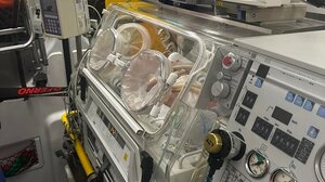 Νεογνό 24 ωρών μεταφέρθηκε από το νοσοκομείο Χανίων στο Βενιζέλειο