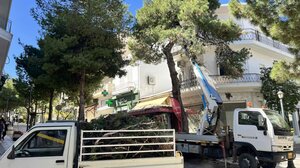 Εργασίες καλλωπισμού και συντήρησης πρασίνου σε κεντρικούς δρόμους του Αγίου Νικολάου