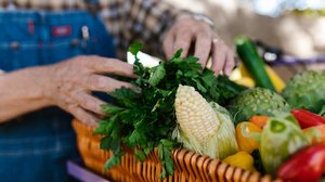 Εργάτες γης: Ένα διαχρονικό και άλυτο πρόβλημα και η αιτία γνωστή!