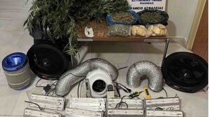 Καλλιεργούσε δενδρύλλια κάνναβης σε ειδικά διαμορφωμένο χώρο στο σπίτι - Βίντεο