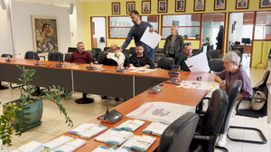 Σητεία: Δωρεάν στειρώσεις ζώων συντροφιάς