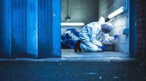 Η αβάσταχτη γοητεία του εγκλήματος