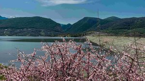 Άνοιξη στην Κρήτη: Τι επιλογές έχω;