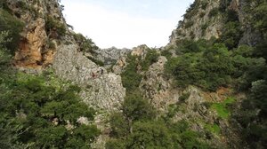 Εκδρομή στο φαράγγι των Πλατανιών