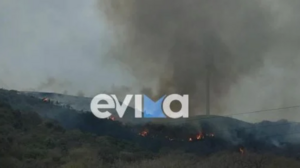  Υπό μερικό έλεγχο πυρκαγιά σε δασική έκταση στην Κάρυστο 