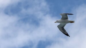 Νεφώσεις με τοπικές βροχές, την Τετάρτη στην Κρήτη