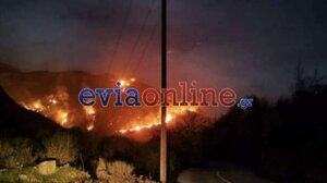 Μεγάλη φωτιά σε δασική έκταση στην Κάρυστο