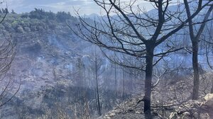Συνεχίζει να καίει η φωτιά στον Αποκόρωνα - Βελτιωμένη η κατάσταση, επιχειρούν ισχυρές δυνάμεις