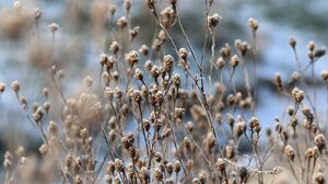 Πυροπροστασία και καθαρισμός οικοπέδων - Τι ισχύει 