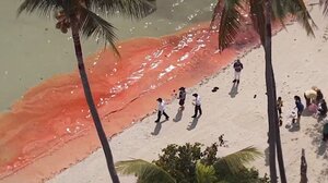 Κατακόκκινα τα κρυστάλλινα νερά της παραλίας!