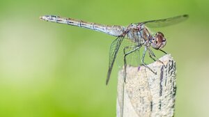  ΠΕ Χανίων: Το πρόγραμμα ψεκασμών για την καταπολέμηση κουνουπιών