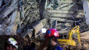 Σεισμός στη Μπανγκόκ: Σκυλιά διασώστες σώζουν ζωές μέσα από τα συντρίμμια