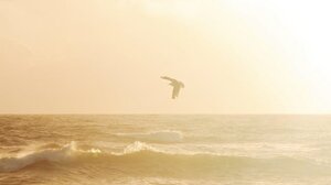 Καιρός: Νοτιάδες έως 8 μποφόρ σήμερα στην Κρήτη