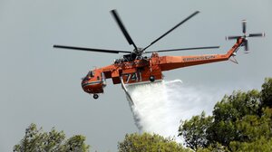 Λευκάδα: Φωτιά σε δάσος στον Άγιο Νικήτα – Ηχησε το 112