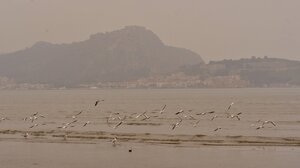 Νοτιάδες, αφρικανική σκόνη και άνοδος της θερμοκρασίας σήμερα στην Κρήτη