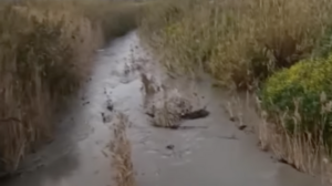 Μεγάλες ποσότητες νερού στον ποταμό Γιόφυρο