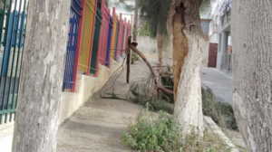 Κλαδί από δέντρο έπεσε έξω από παιδικό σταθμό στα Δειλινά