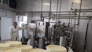 Οι μικροί μαθητές μυήθηκαν στα μυστικά της παραγωγής παραδοσιακών τυροκομικών προϊόντων!