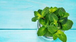 Το «βότανο του Άδη» που βελτιώνει τα πεπτικά προβλήματα, ανακουφίζει από πονοκέφαλο και βοηθά στον ύπνο